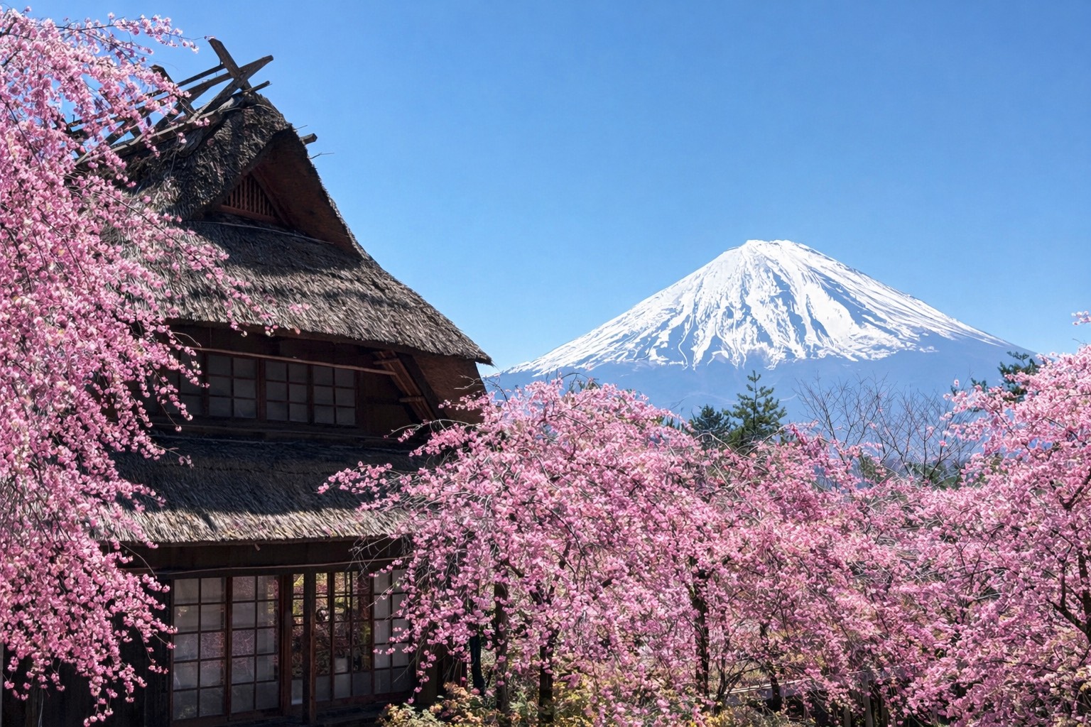 東京『新大谷INN』團體自由行五日