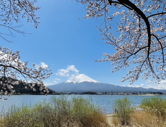 東京『五星京王飯店』團體自由行五日