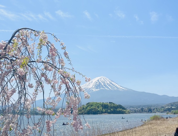 東京『五星京王飯店』團體自由行五日