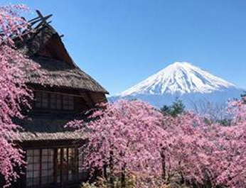 東京『新大谷INN』團體自由行五日