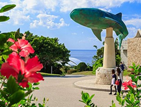 沖繩自由行五天-夏季(03/25~10/20)