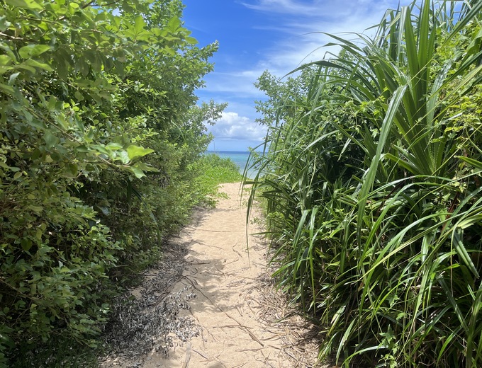 2026年/02/04石垣島/桃園單程機票(含稅.行李)