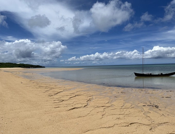 遇見南之美花~石垣島自由行四天(週三出發)