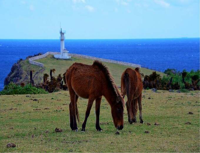 遇見與那國~石垣島南之美花五日自由行(週六出發)