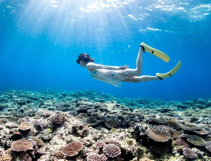 遇見南之美花~石垣島自由行四天(週三出發)