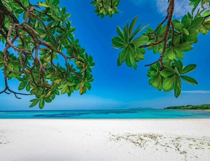 石垣島自由行四天(周三出發)