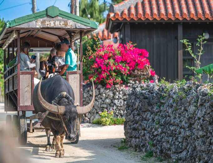 2026年/02/04石垣島/桃園單程機票(含稅.行李)